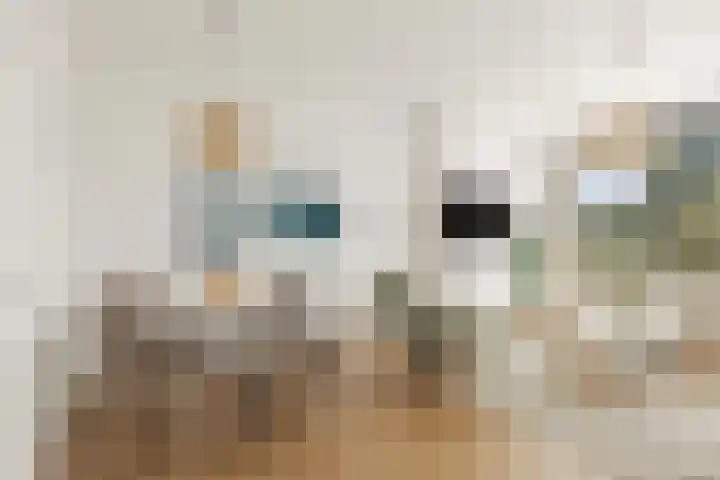 Jan van Zutphenstraat 15 Schiedam foto 3