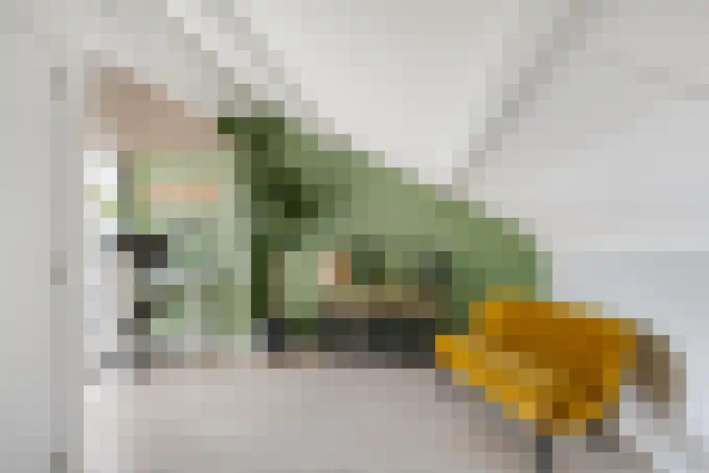 Jan van Zutphenstraat 16 Haarlem thumbnail 23