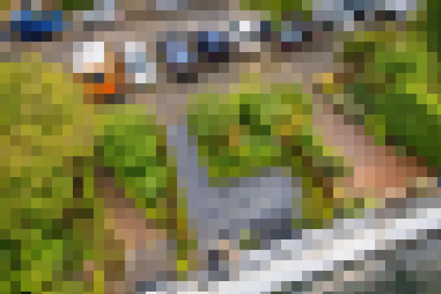 Jan van Zutphenstraat 22 Haarlem thumbnail 21