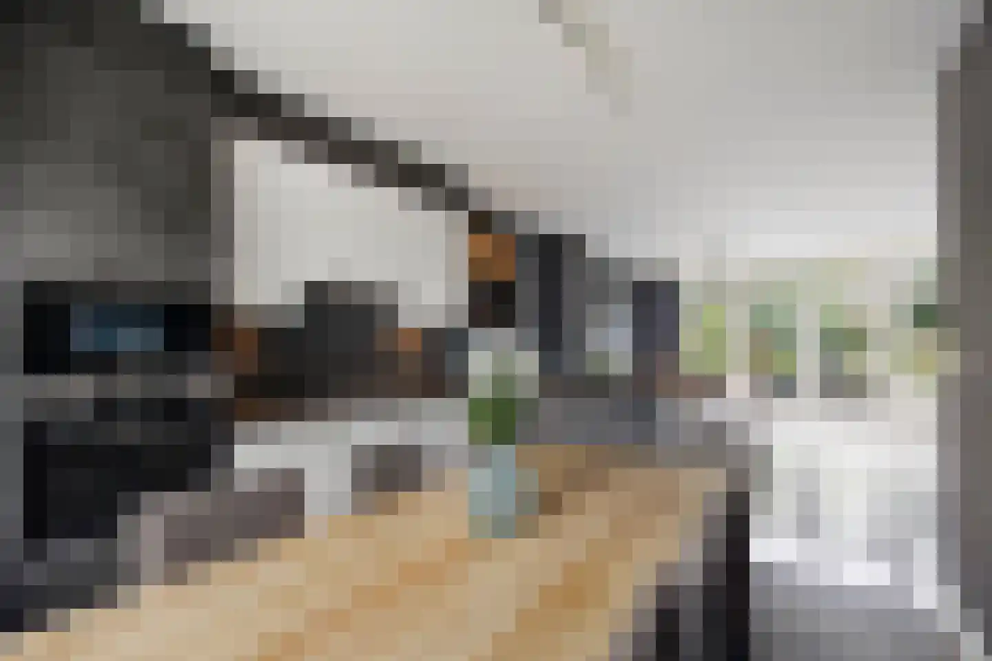 Jan van Zutphenstraat 22 Haarlem thumbnail 9