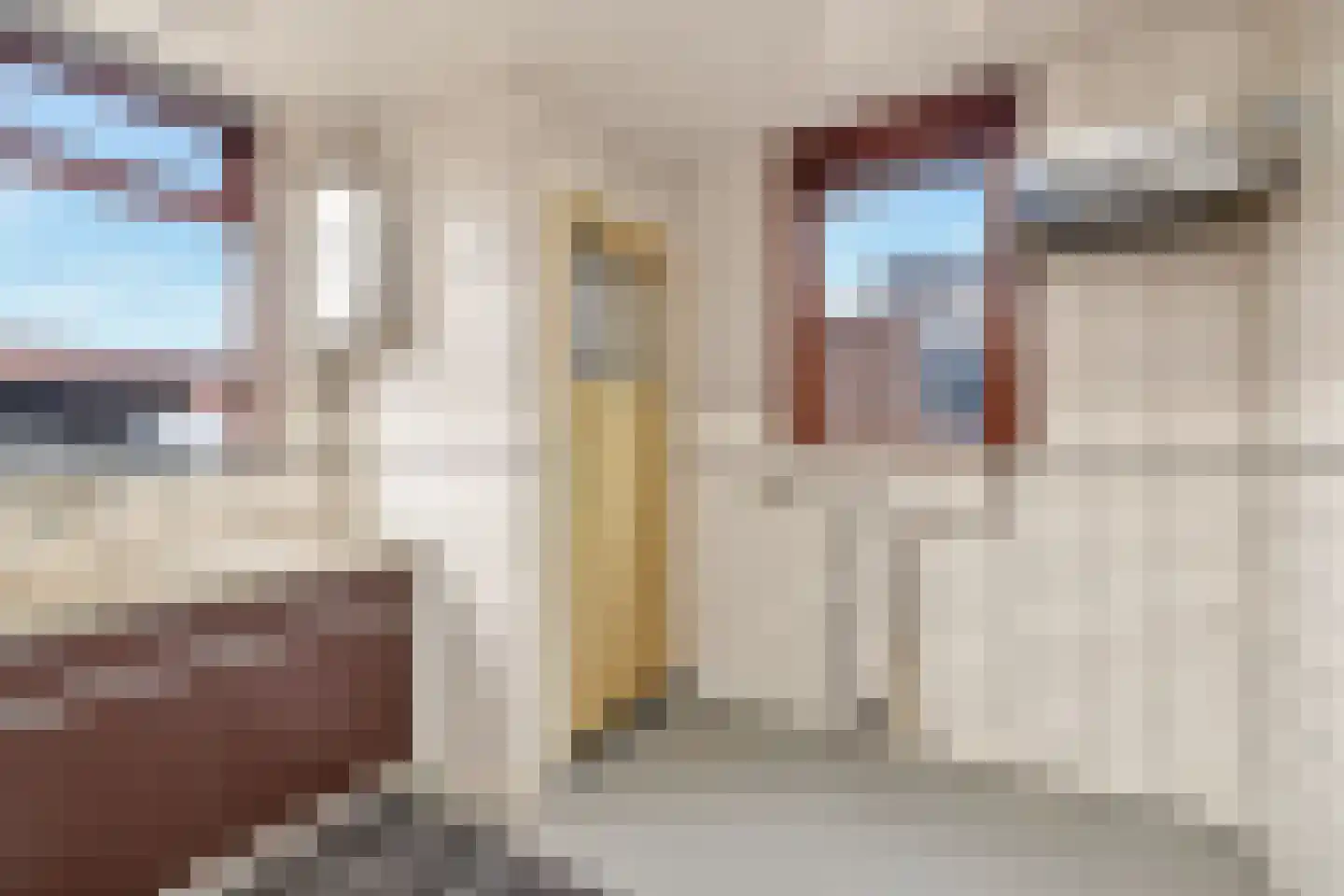 Jan van Zutphenstraat 24 Spijkenisse thumbnail 18
