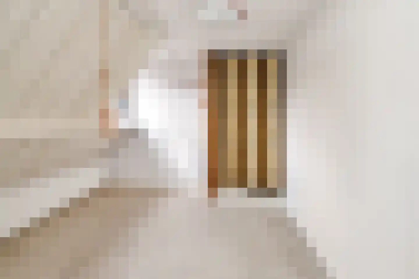 Jan van Zutphenstraat 24 Spijkenisse thumbnail 31