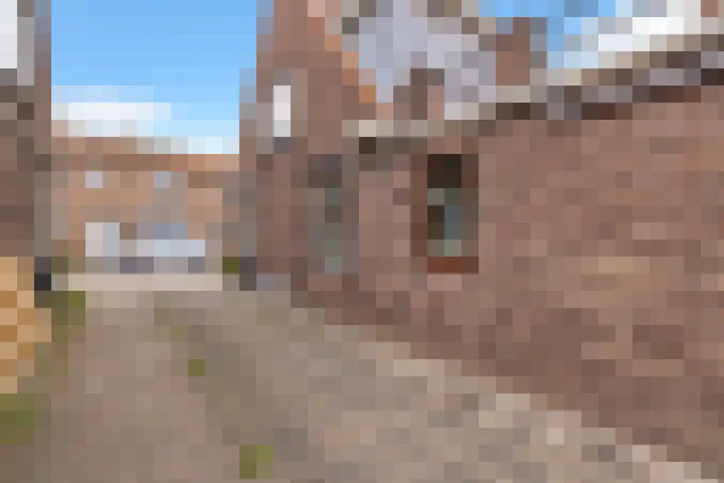 Jan van Zutphenstraat 24 Spijkenisse thumbnail 39