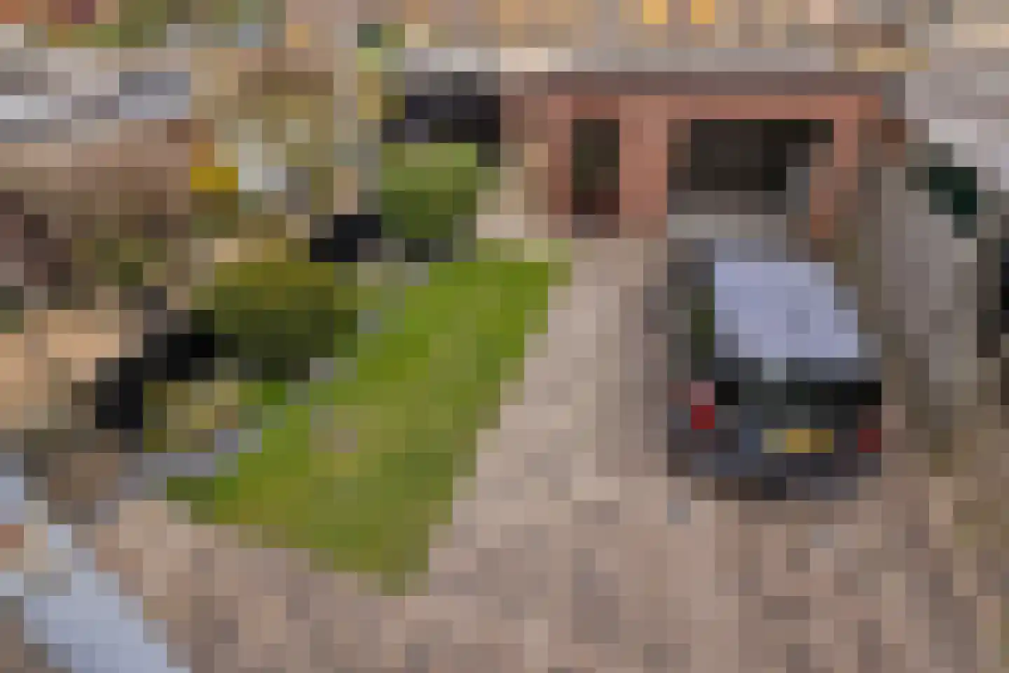 Jan van Zutphenstraat 24 Spijkenisse thumbnail 43