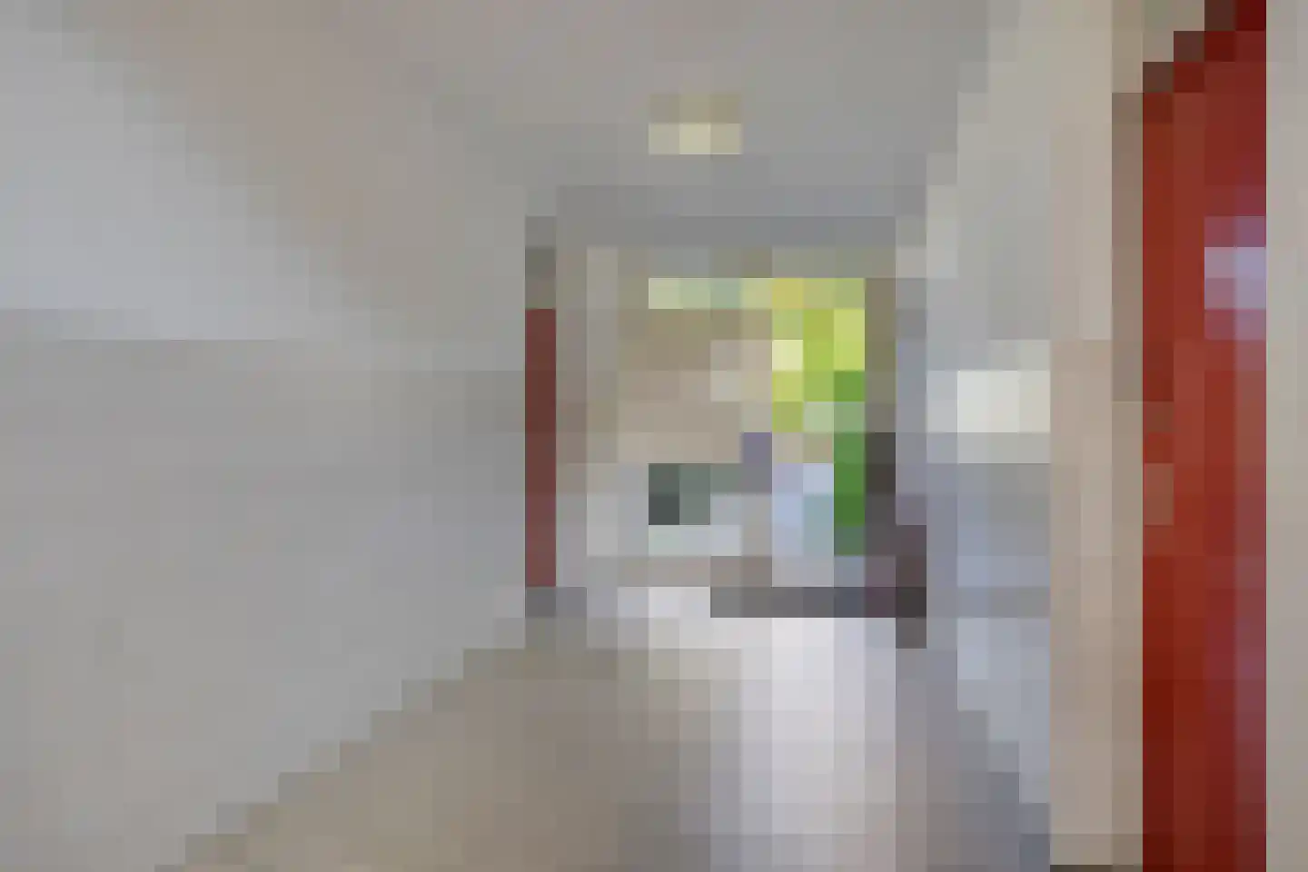 Jan van Zutphenstraat 41 Schiedam thumbnail 20