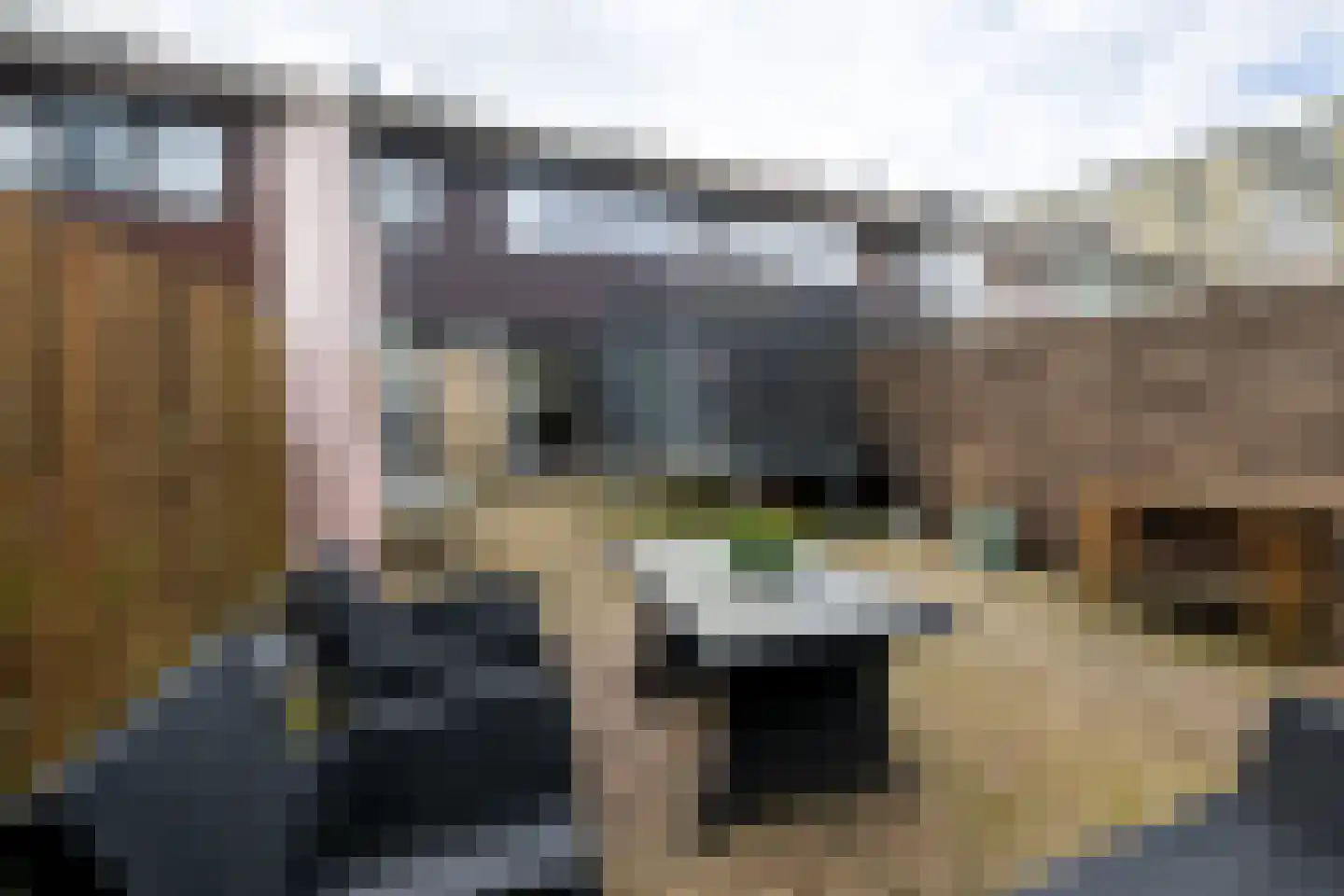 Jan van Zutphenstraat 63 Haarlem thumbnail 25