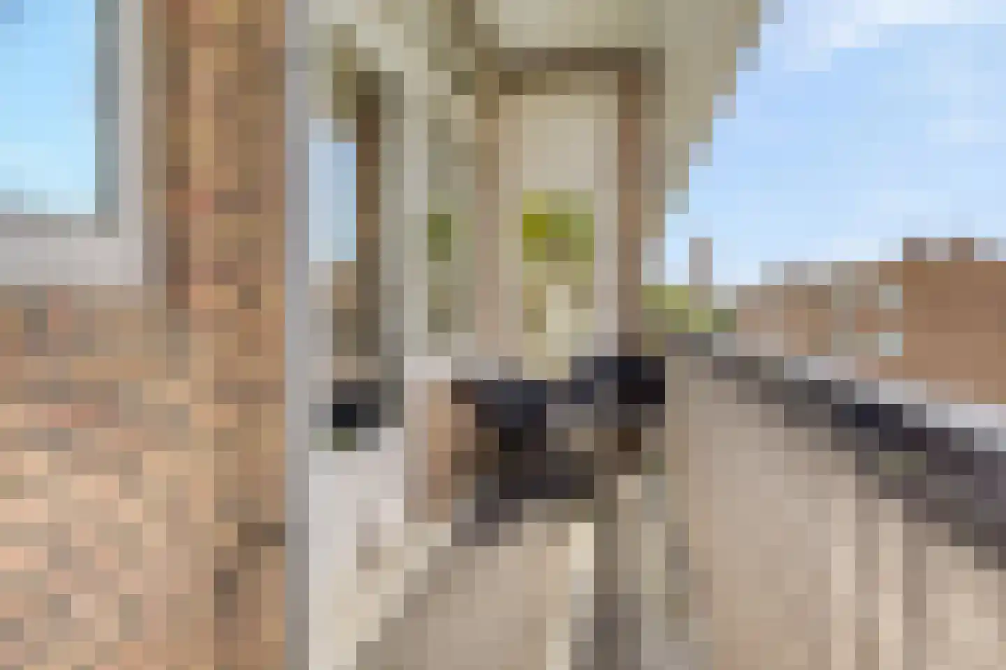 Jan Verfailleweg 122 Den Helder thumbnail 13