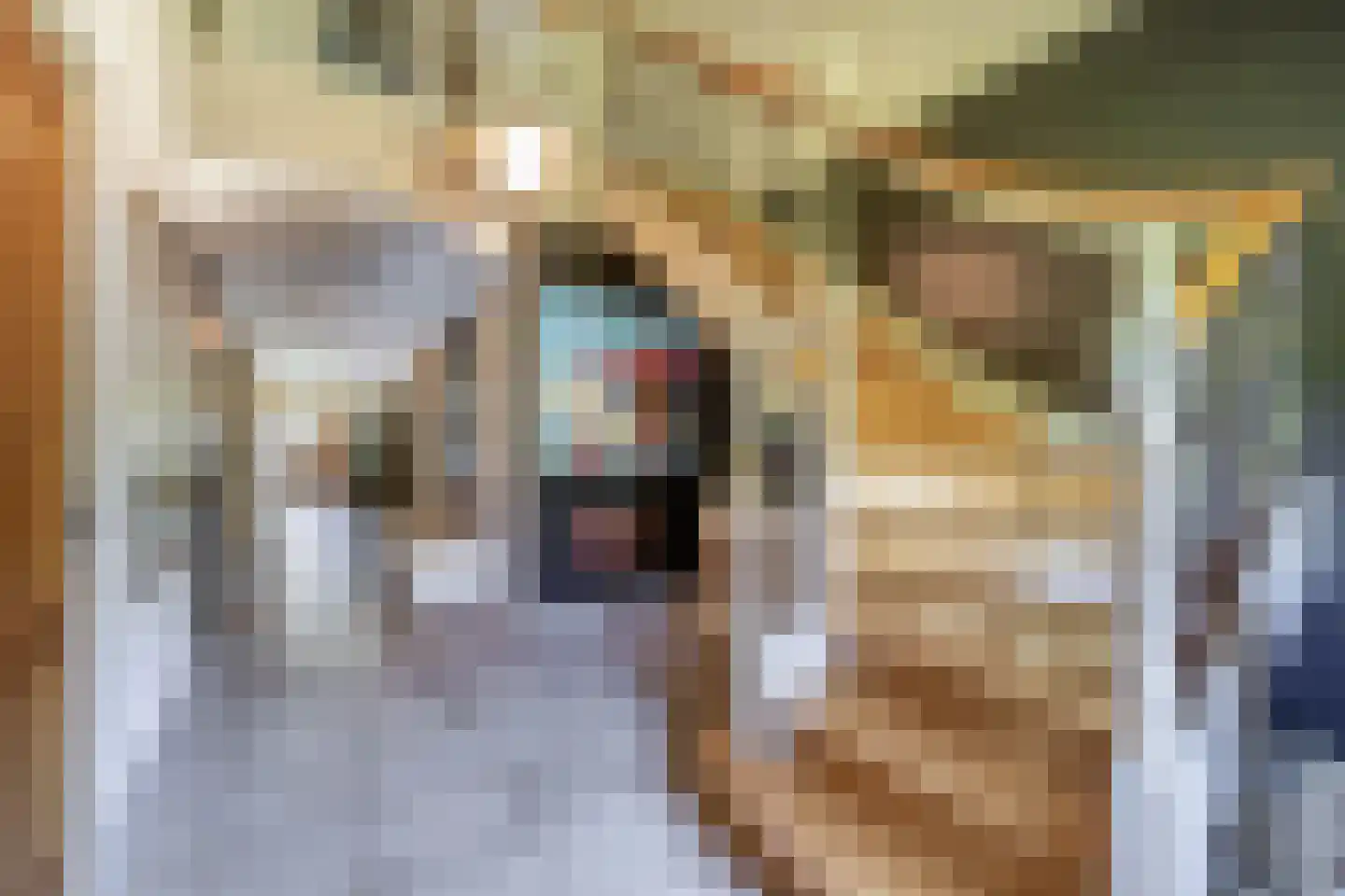 Jan Verfailleweg 15 Den Helder thumbnail 4