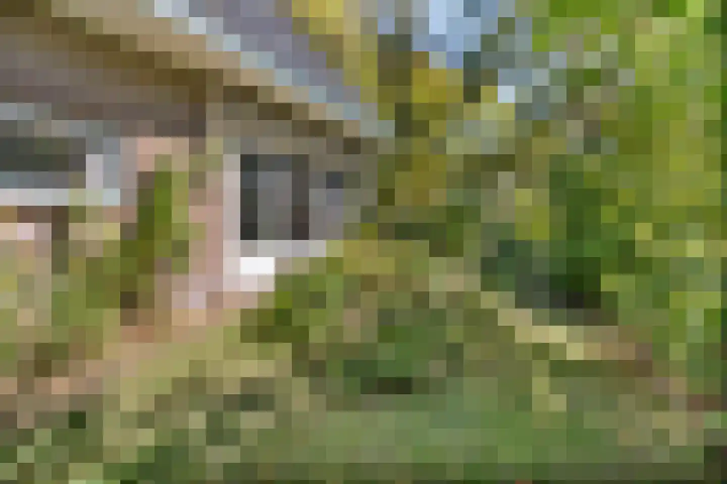 Jan Verfailleweg 18 Den Helder thumbnail 6