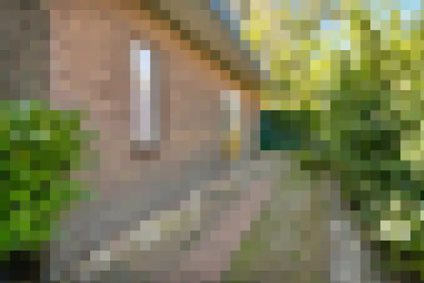 Jan Verfailleweg 18 Den Helder thumbnail 9