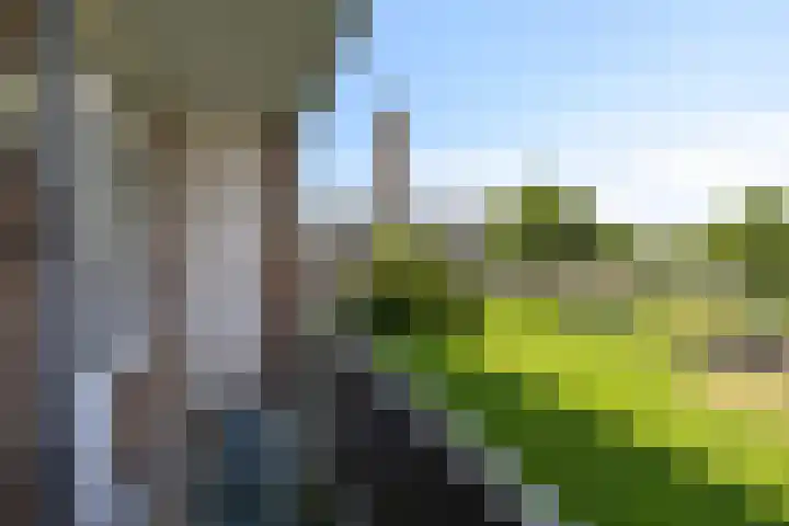 Jan Verfailleweg 194 Den Helder thumbnail 14