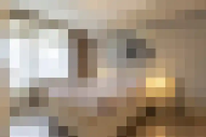 Jan Verfailleweg 64 Den Helder thumbnail 11