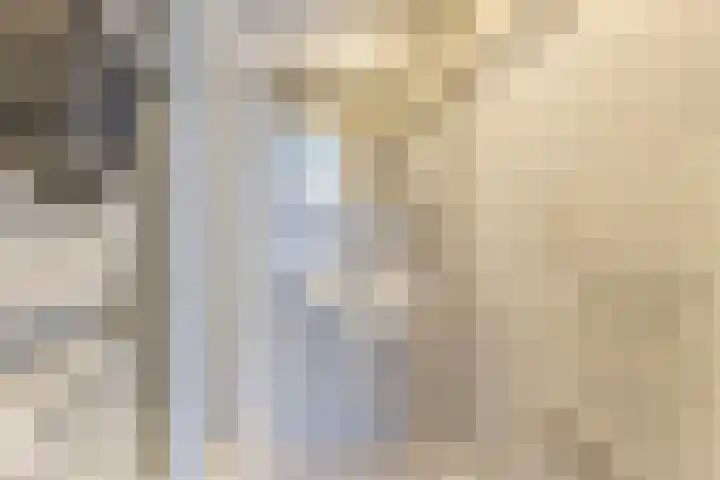 Jan Verfailleweg 64 Den Helder thumbnail 13