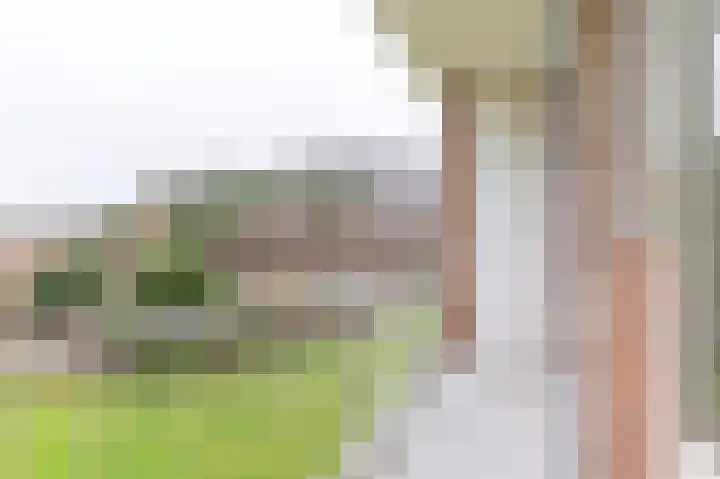 Jan Verfailleweg 64 Den Helder thumbnail 16