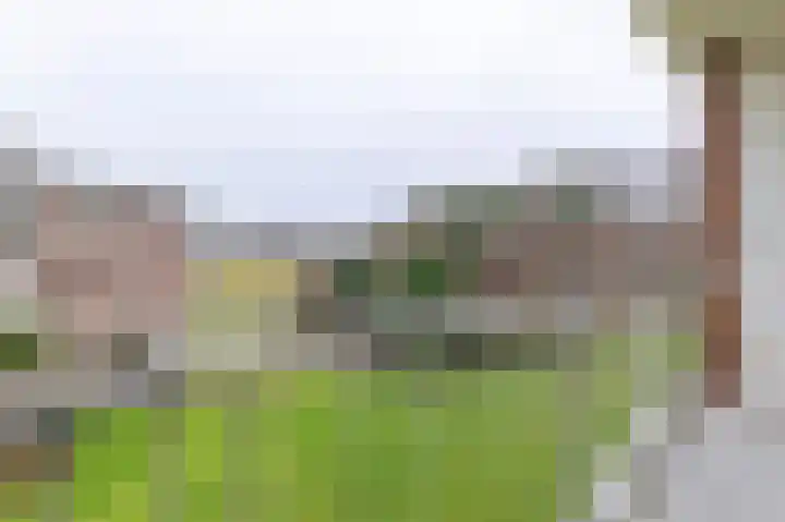 Jan Verfailleweg 64 Den Helder thumbnail 17
