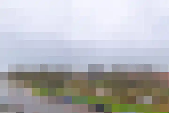 Jan Verfailleweg 64 Den Helder thumbnail 18