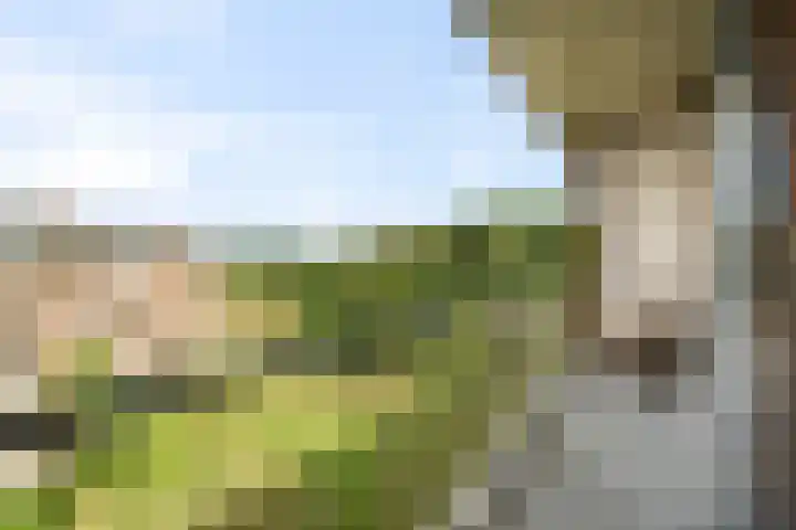 Jan Verfailleweg 68 Den Helder thumbnail 10