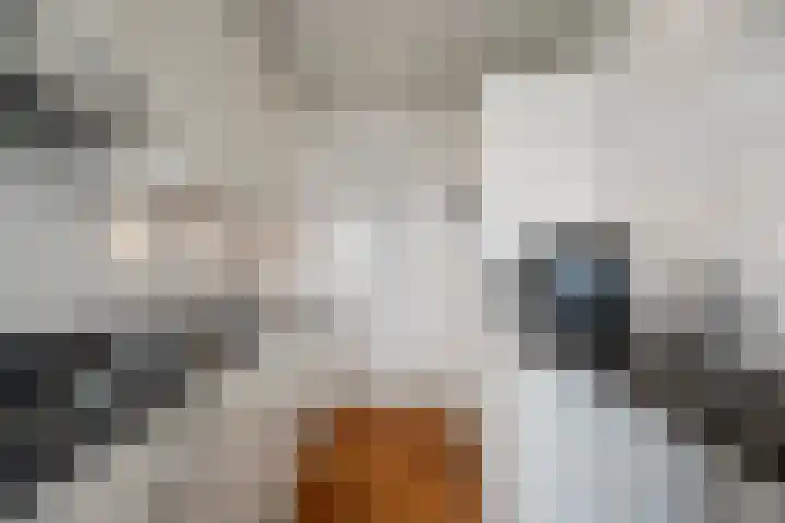 Jan Verfailleweg 68 Den Helder thumbnail 13