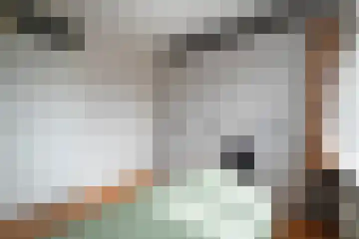 Jan Verfailleweg 68 Den Helder thumbnail 15