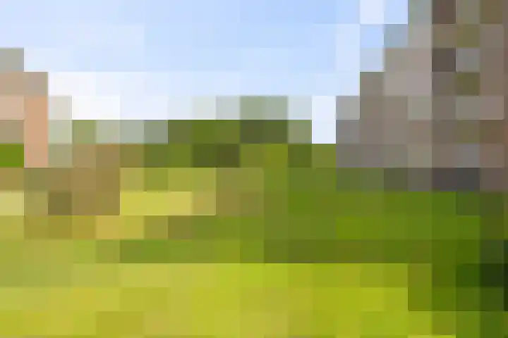 Jan Verfailleweg 68 Den Helder thumbnail 20