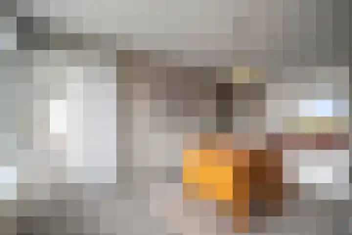 Jan Verfailleweg 68 Den Helder thumbnail 9