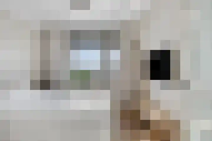 Jan Verfailleweg 74 Den Helder thumbnail 23
