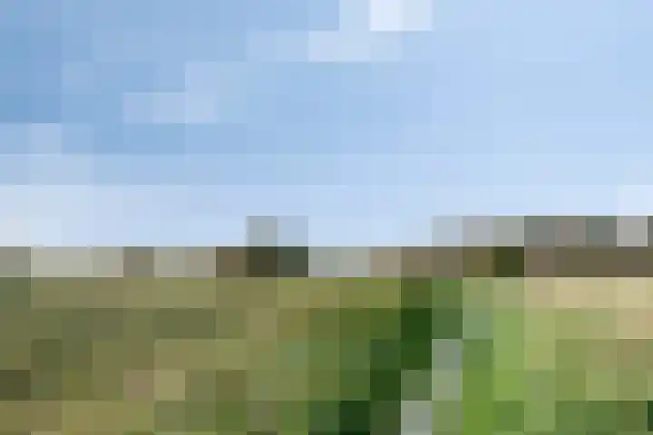 Jan Verfailleweg 74 Den Helder thumbnail 32