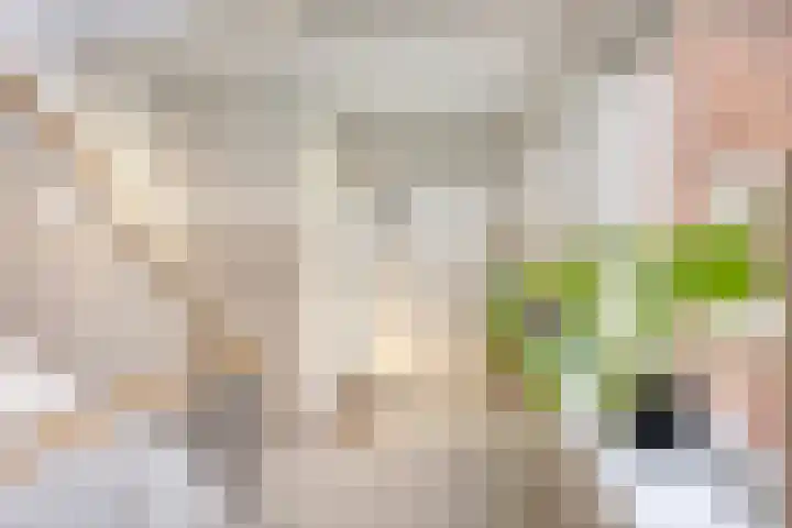 Jan Verfailleweg 74 Den Helder thumbnail 7