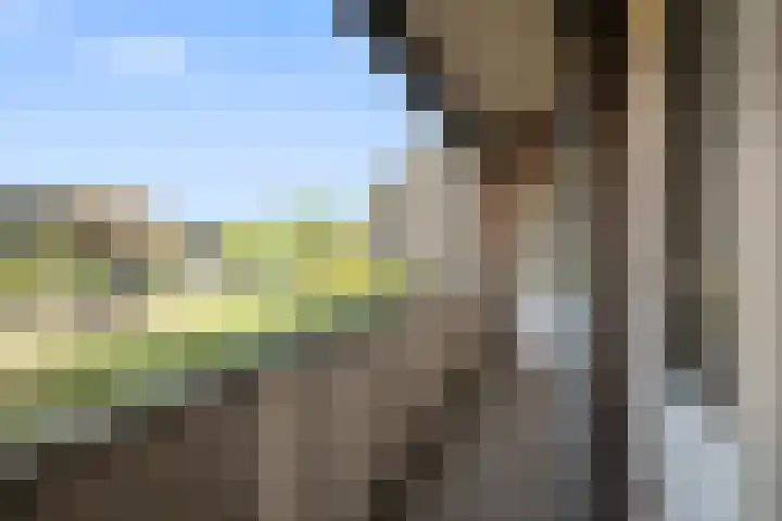Jan Verfailleweg 78 Den Helder thumbnail 10