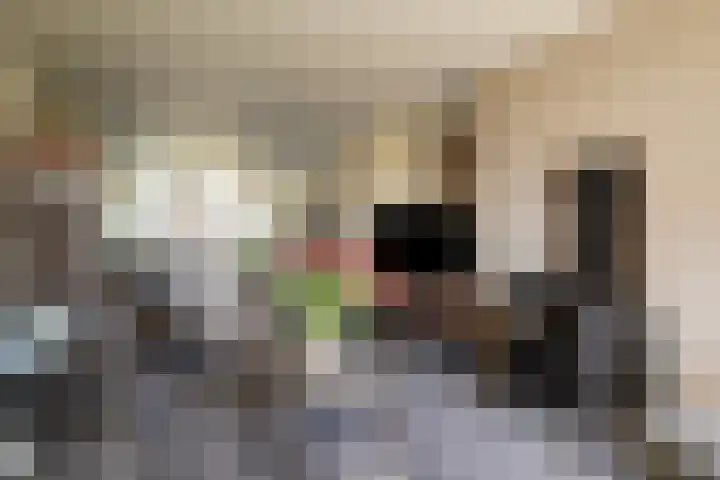 Jan Verfailleweg 78 Den Helder thumbnail 5