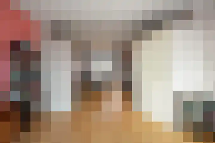 Jan Verfailleweg 96 Den Helder thumbnail 13