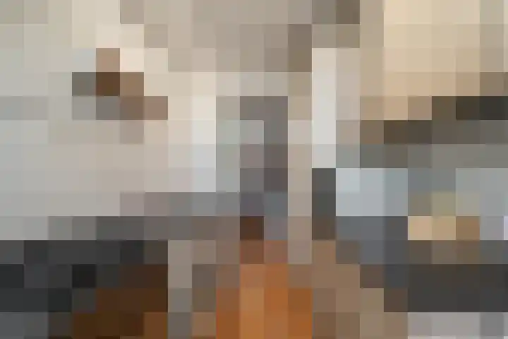 Jan Verfailleweg 96 Den Helder thumbnail 17