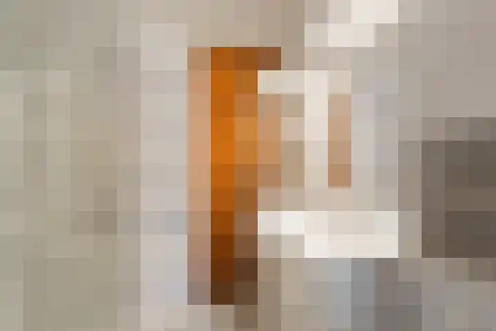 Jan Verfailleweg 96 Den Helder thumbnail 21