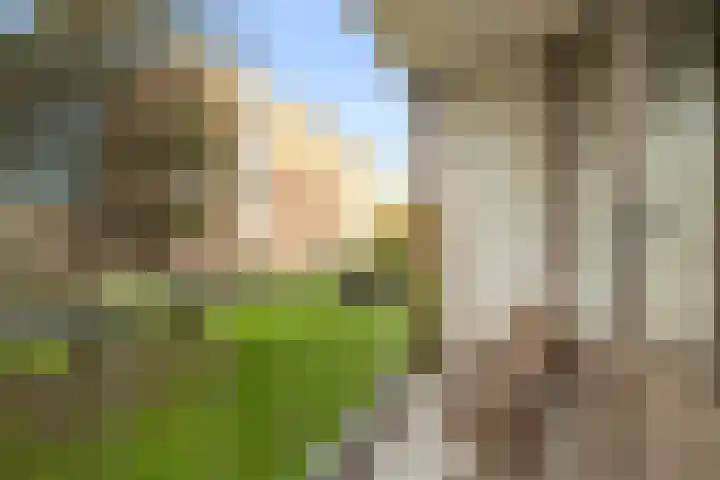 Jan Verfailleweg 96 Den Helder thumbnail 26