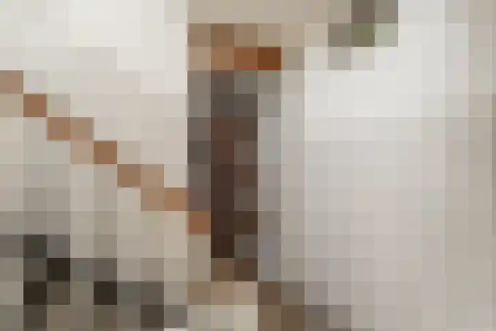 Jan Verfailleweg 96 Den Helder thumbnail 6