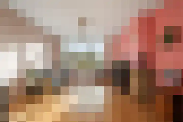 Jan Verfailleweg 96 Den Helder thumbnail 7