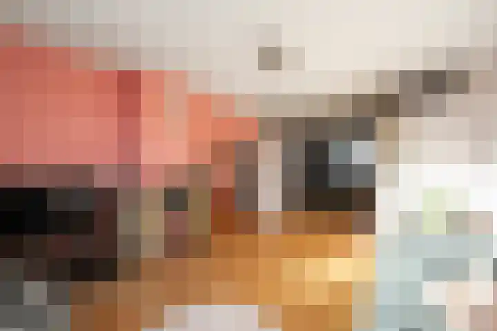 Jan Verfailleweg 96 Den Helder thumbnail 9