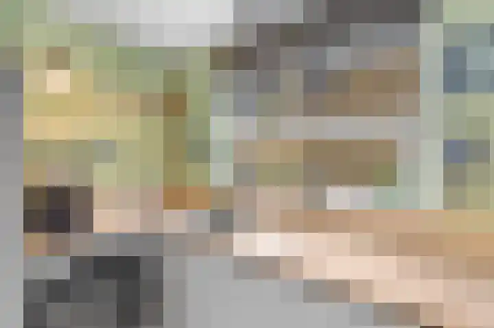 Jan Vermeerlaan 125 Roosendaal thumbnail 13
