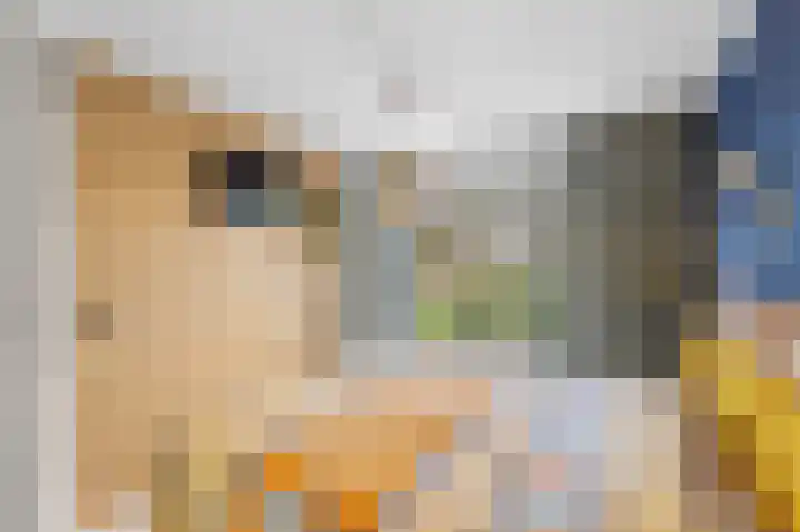 Jan Vermeerlaan 125 Roosendaal thumbnail 20