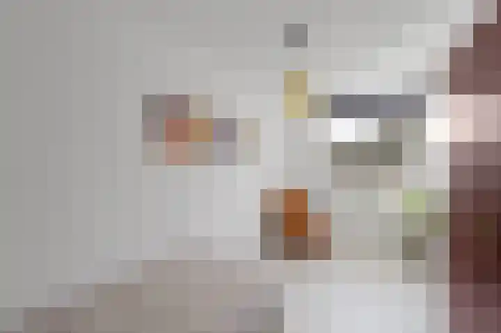 Jan Vermeerlaan 125 Roosendaal thumbnail 24