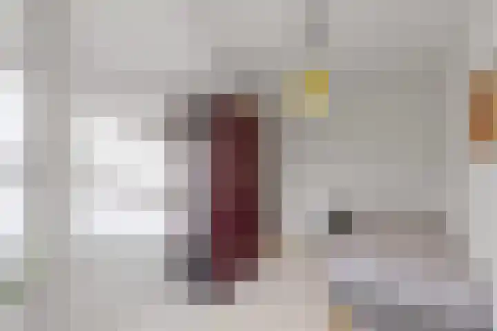 Jan Vermeerlaan 125 Roosendaal thumbnail 25