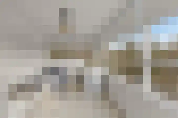 Jan Vermeerlaan 125 Roosendaal thumbnail 30