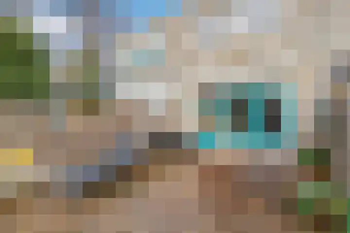 Jan Vermeerlaan 125 Roosendaal thumbnail 33