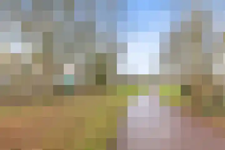 Jan Vermeerlaan 125 Roosendaal thumbnail 43