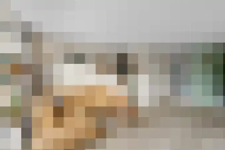 Jan Vermeerlaan 125 Roosendaal thumbnail 7