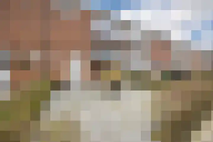 Jan Vermeerlaan 160 Roosendaal thumbnail 11