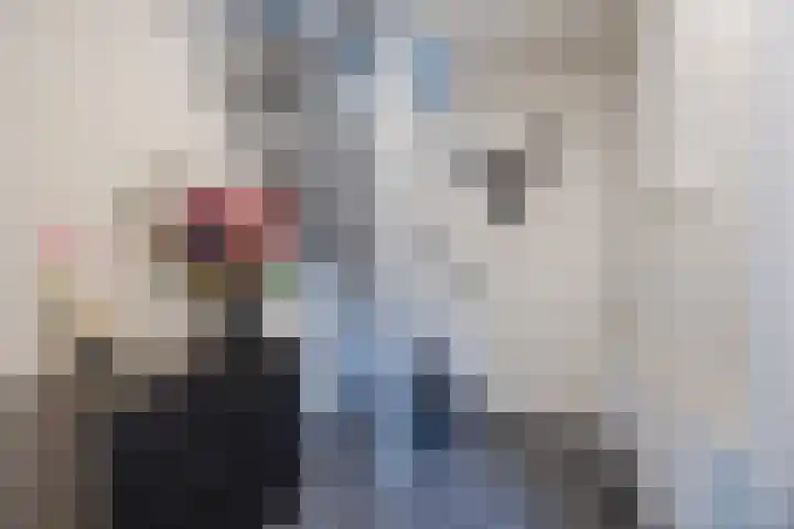 Jan Vermeerlaan 160 Roosendaal thumbnail 12