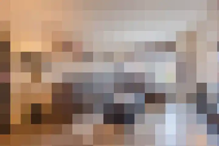 Jan Vermeerlaan 160 Roosendaal thumbnail 16