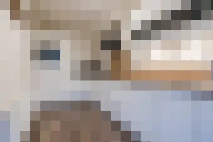 Jan Vermeerlaan 160 Roosendaal thumbnail 29