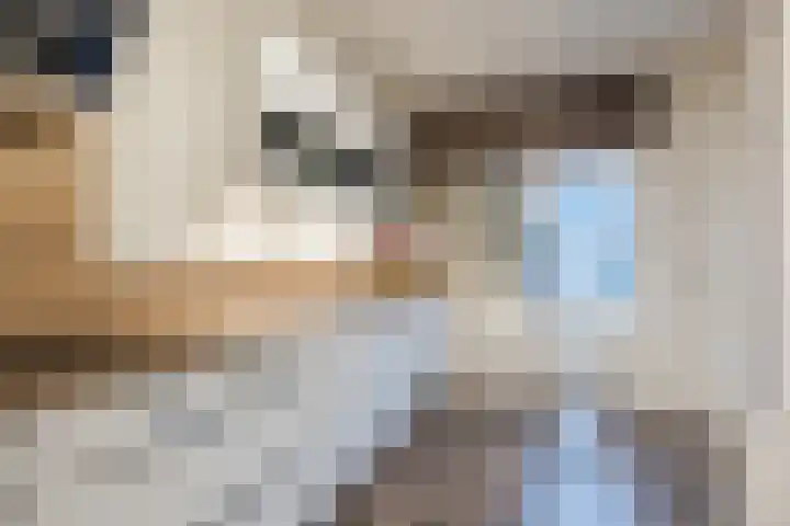 Jan Vermeerlaan 160 Roosendaal thumbnail 30